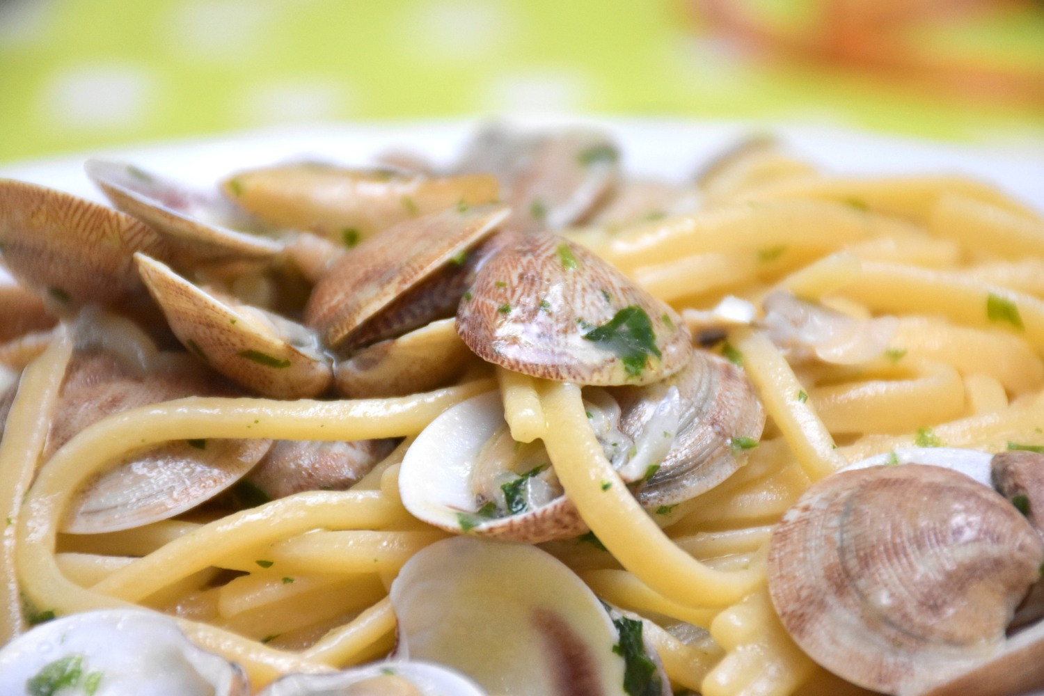 Artisanal Tagliolini with Fresh Clams and Grated Bottarga | MaMaBlip